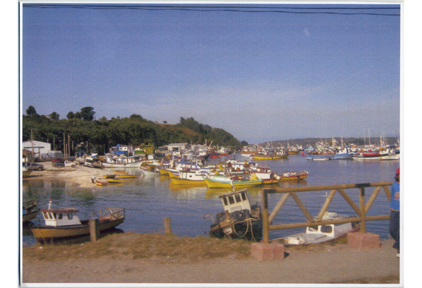 Panorámica del sector Yahuecha Panorámica del sector Yahuecha