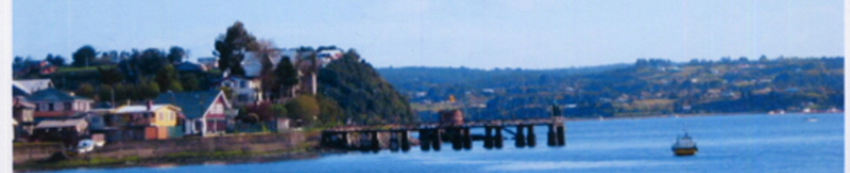 Muelle de la isla Puluqui Muelle de la isla Puluqui