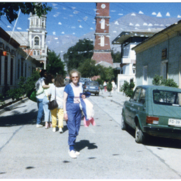 Calles de Vicuña