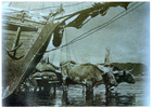 Trabajo en el puerto Trabajo en el puerto