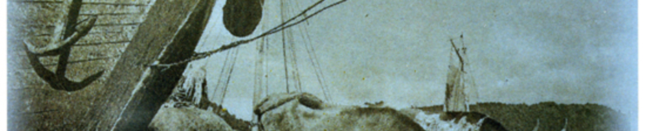 Trabajo en el puerto Trabajo en el puerto