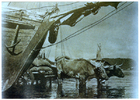 Trabajo en el puerto Trabajo en el puerto