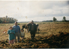 Trabajo agrícola