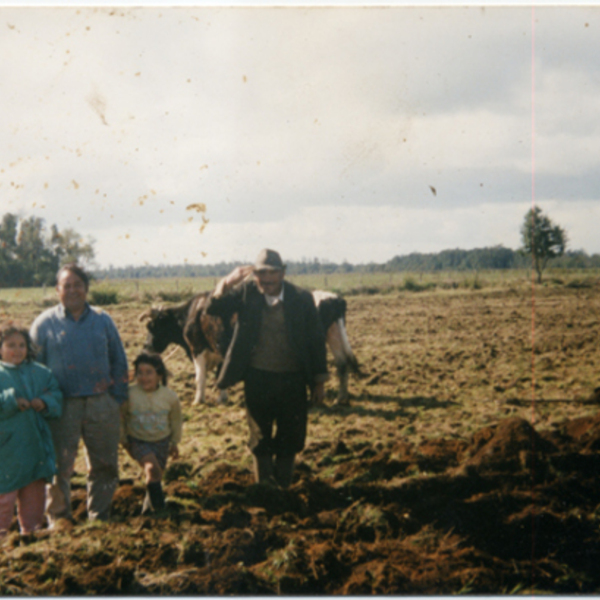 Trabajo agrícola