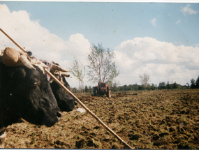 Arando la tierra