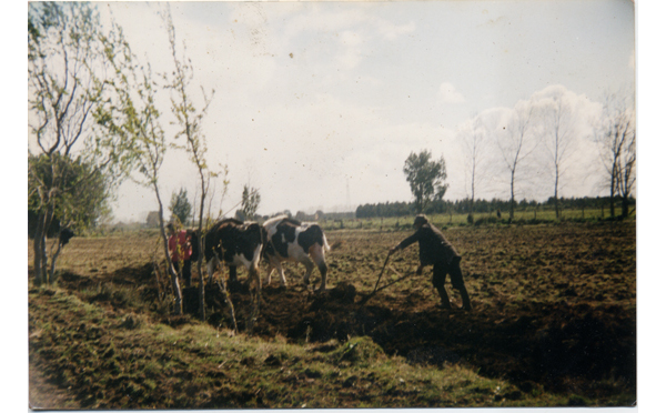 Arando la tierra