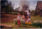 El jardín de la casa El jardín de la casa
