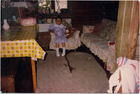 Cumpleaños Cumpleaños