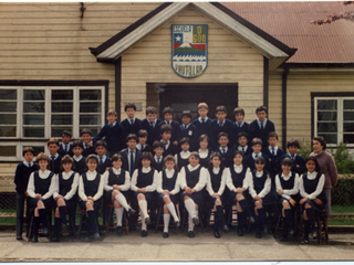 Licenciatura en la Escuela D- 600 Licenciatura en la Escuela D- 600