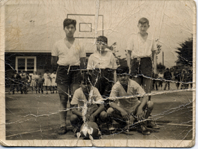 Basquetbolistas