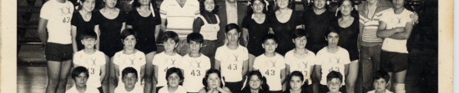 Revista de gimnasia Revista de gimnasia