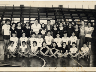 Revista de gimnasia Revista de gimnasia