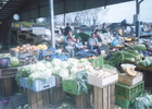 Feria Presidente Ibáñez Feria Presidente Ibáñez