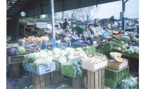 Feria Presidente Ibáñez