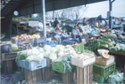 Feria Presidente Ibáñez Feria Presidente Ibáñez