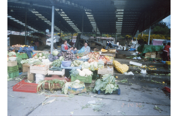 Local de frutas y verduras Local de frutas y verduras