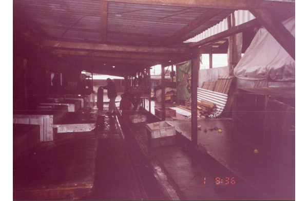Feria Presidente Ibáñez Feria Presidente Ibáñez