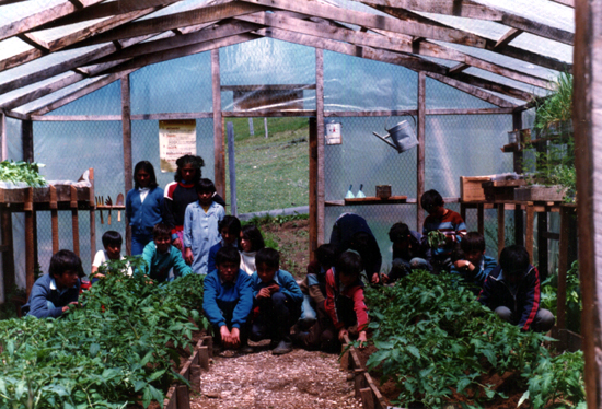 Clase de ciencias agropecuarias Clase de ciencias agropecuarias