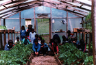Clase de ciencias agropecuarias Clase de ciencias agropecuarias