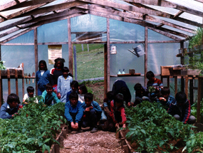 Clase de ciencias agropecuarias