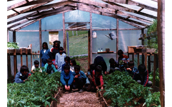 Clase de ciencias agropecuarias