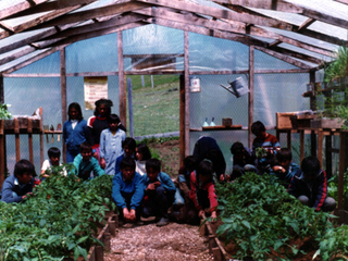 Clase de ciencias agropecuarias