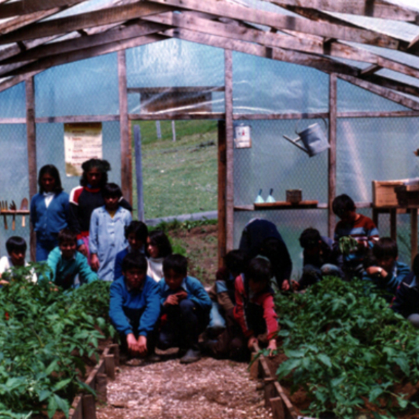 Clase de ciencias agropecuarias