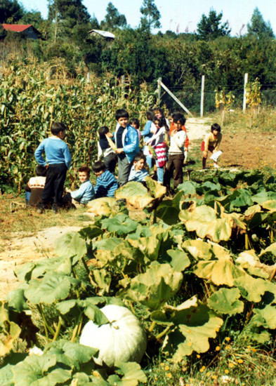 Clase de ciencias agropecuarias