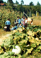 Clase de ciencias agropecuarias Clase de ciencias agropecuarias