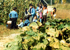 Clase de ciencias agropecuarias