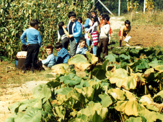 Clase de ciencias agropecuarias