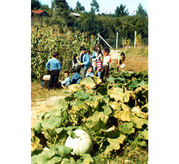 Clase de ciencias agropecuarias