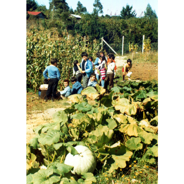 Clase de ciencias agropecuarias