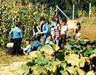 Clase de introducción a las Ciencias Agropecuarias