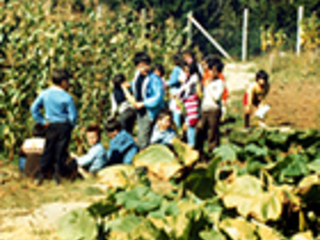 Clase de introducción a las Ciencias Agropecuarias