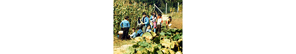 Clase de introducción a las Ciencias Agropecuarias