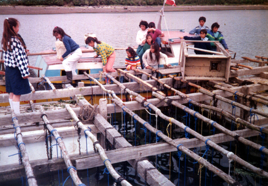 Clases de pesca y cultivos acuáticos Clases de pesca y cultivos acuáticos