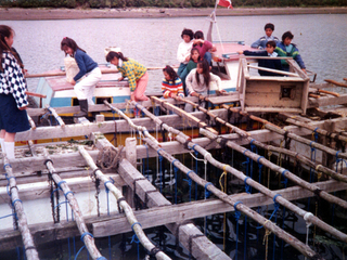 Clases de pesca y cultivos acuáticos