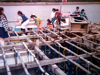 Clases de pesca y cultivos acuáticos Clases de pesca y cultivos acuáticos