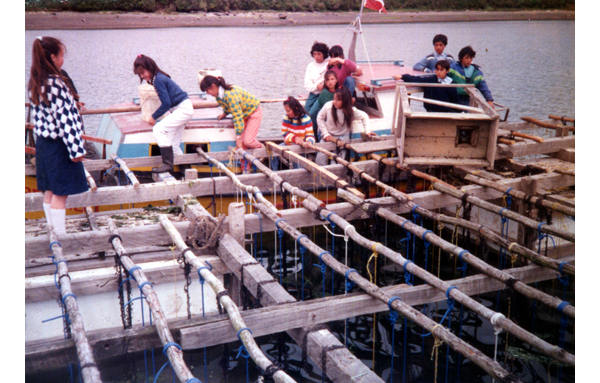 Clases de pesca y cultivos acuáticos