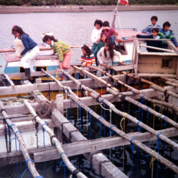 Clases de pesca y cultivos acuáticos