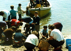 Clases de pesca y cultivos acuáticos