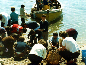 Clases de pesca y cultivos acuáticos