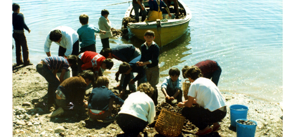 Clases de pesca y cultivos acuáticos