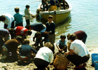 Clases de pesca y cultivos acuáticos