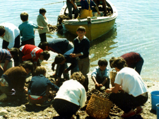 Clases de pesca y cultivos acuáticos