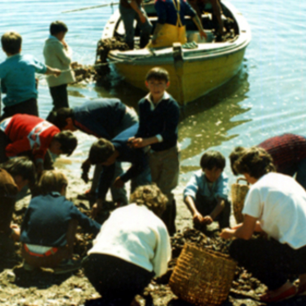 Clases de pesca y cultivos acuáticos