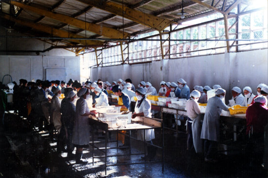 Clases de pesca y cultivos acuáticos