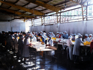 Clases de pesca y cultivos acuáticos Clases de pesca y cultivos acuáticos