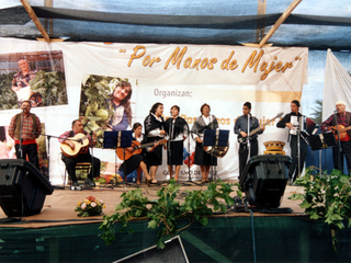 Conjunto folklórico Caicaivilú